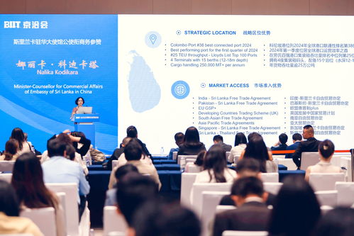 36氪出海 活動 2025北京國際投資貿(mào)易洽談會成功舉辦