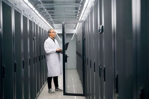 哪里才是 象 往的目的地