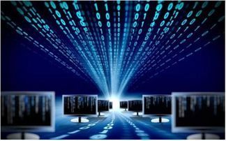 數據庫系統由什么組成